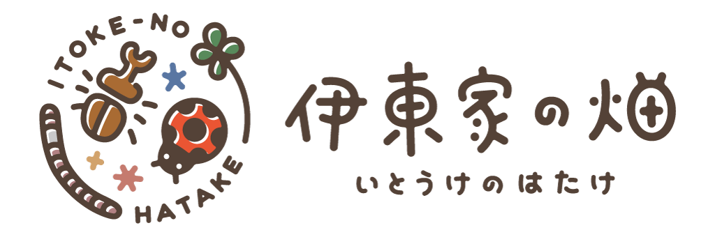 My Blog